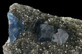Blue Cubic Fluorite on Smoky Quartz - China #142612-3